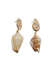 Load image into Gallery viewer, Shell Earrings
