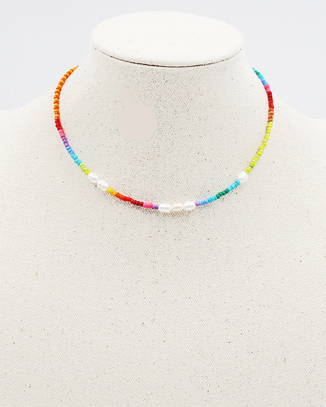 Rainbow Beaded Choker Necklace